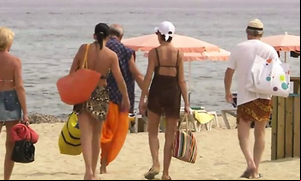 Wild Holidays (Full Movie)